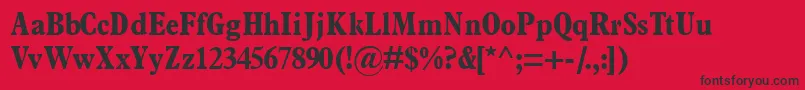 Terminusblackcondssk Font – Black Fonts on Red Background