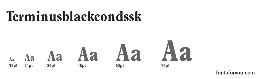 Размеры шрифта Terminusblackcondssk