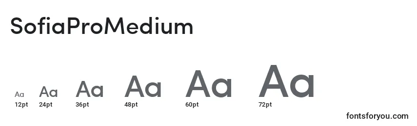 SofiaProMedium Font Sizes