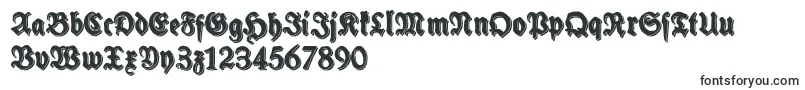 SchneidlerHalbFetteShadowFree-Schriftart – Schriftarten, die mit S beginnen