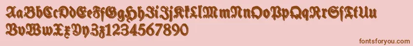 SchneidlerHalbFetteShadowFree Font – Brown Fonts on Pink Background