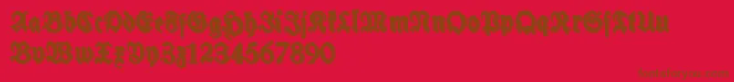 SchneidlerHalbFetteShadowFree Font – Brown Fonts on Red Background