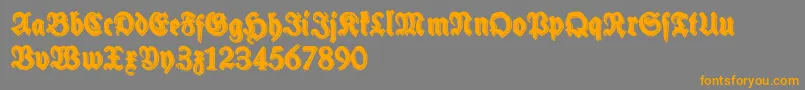 SchneidlerHalbFetteShadowFree Font – Orange Fonts on Gray Background