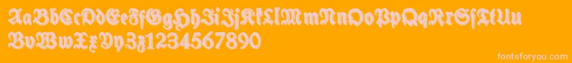SchneidlerHalbFetteShadowFree Font – Pink Fonts on Orange Background