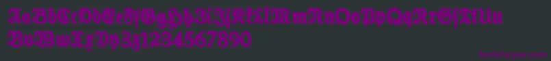 Czcionka SchneidlerHalbFetteShadowFree – fioletowe czcionki na czarnym tle
