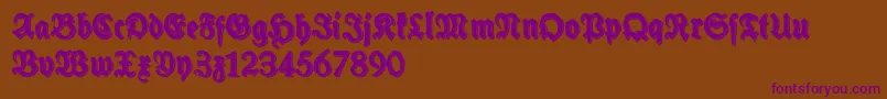 SchneidlerHalbFetteShadowFree Font – Purple Fonts on Brown Background