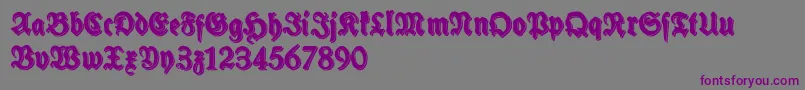 SchneidlerHalbFetteShadowFree Font – Purple Fonts on Gray Background