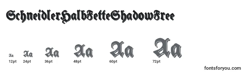 Размеры шрифта SchneidlerHalbFetteShadowFree (38952)