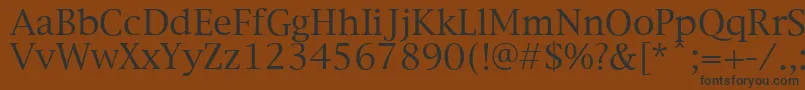 フォントNewYorkPlain – 黒い文字が茶色の背景にあります