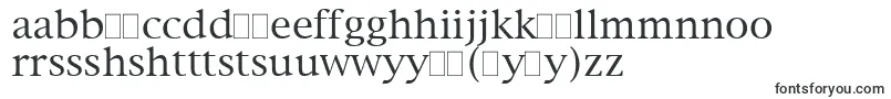 NewYorkPlain Font – Hausa Fonts