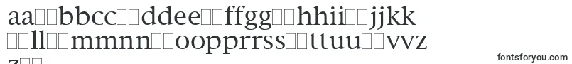 NewYorkPlain Font – Latvian Fonts