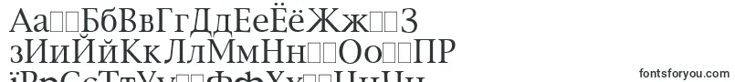 NewYorkPlain Font – Tatar Fonts