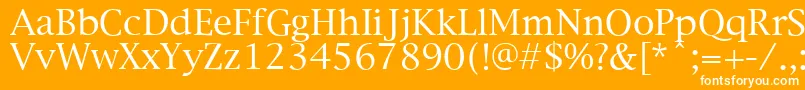 NewYorkPlain Font – White Fonts on Orange Background