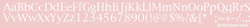 NewYorkPlain Font – White Fonts on Pink Background