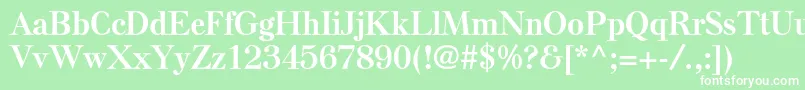 ElsenplstdBold Font – White Fonts on Green Background