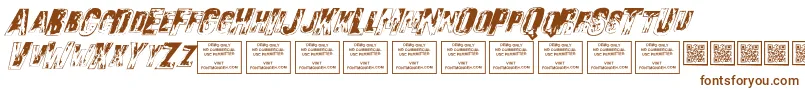 SonsofnoahItalic Font – Brown Fonts on White Background