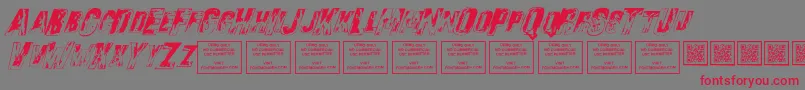 SonsofnoahItalic Font – Red Fonts on Gray Background