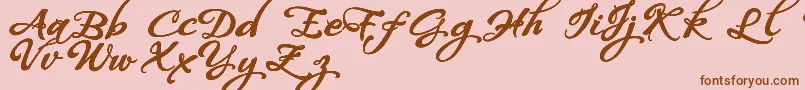 WhispersCalligraphyDemoSinuousBold Font – Brown Fonts on Pink Background