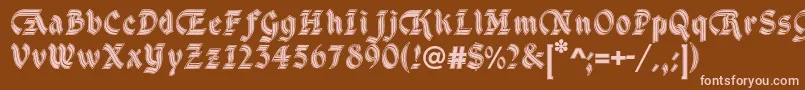 DsCathedralAlt Font – Pink Fonts on Brown Background