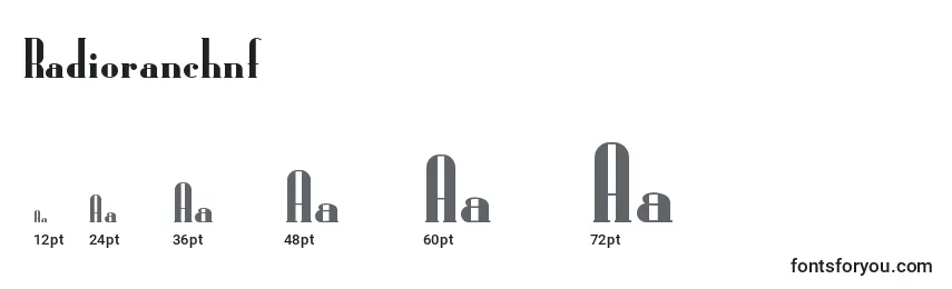 Размеры шрифта Radioranchnf