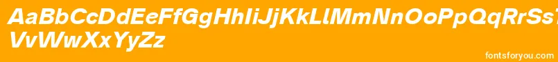 Analogue76boldoblique Font – White Fonts on Orange Background