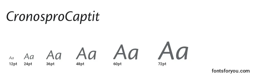 Размеры шрифта CronosproCaptit
