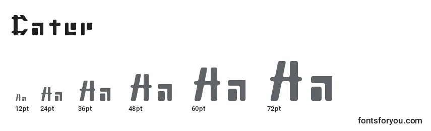 Cater Font Sizes