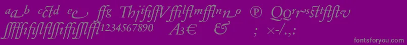 SabonnextLtDisplayItalicAlternate-Schriftart – Graue Schriften auf violettem Hintergrund