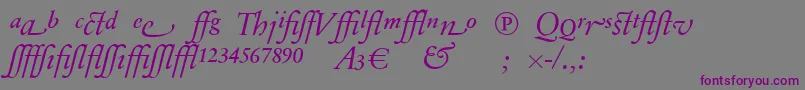 SabonnextLtDisplayItalicAlternate Font – Purple Fonts on Gray Background