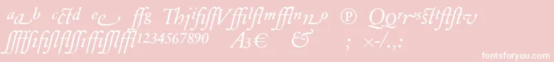フォントSabonnextLtDisplayItalicAlternate – ピンクの背景に白い文字