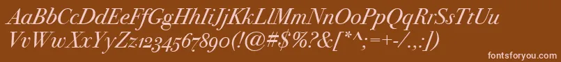 BodoniSvtytwoOsItcTtBookit Font – Pink Fonts on Brown Background