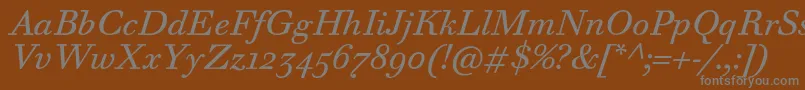 WalbaumTextProItalic Font – Gray Fonts on Brown Background