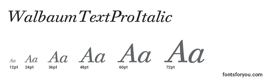 Размеры шрифта WalbaumTextProItalic