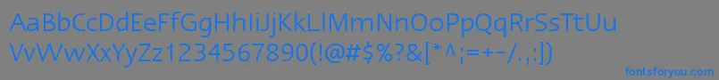 Шрифт LinotypeErgoRegular – синие шрифты на сером фоне