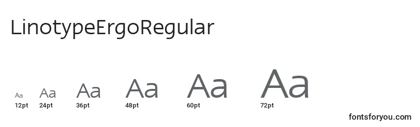 Размеры шрифта LinotypeErgoRegular