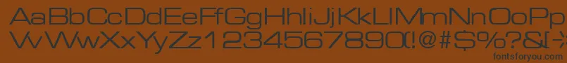 MicrogramRegularDb Font – Black Fonts on Brown Background