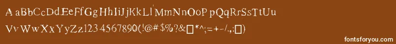 フォントRomanNewTimes – 茶色の背景に白い文字
