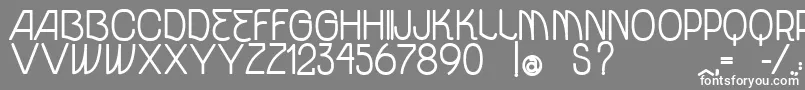 VtksUnidadeBold Font – White Fonts on Gray Background