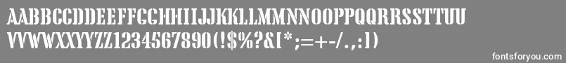 フォントTeaChest – 灰色の背景に白い文字