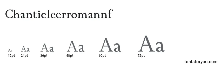Chanticleerromannf-fontin koot