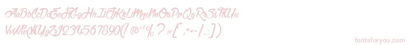 MatadorDeNimes Font – Pink Fonts on White Background