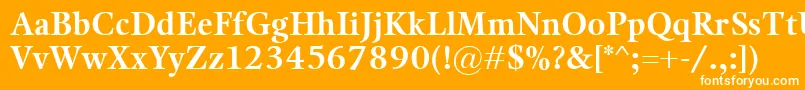 KalixBold-Schriftart – Weiße Schriften auf orangefarbenem Hintergrund