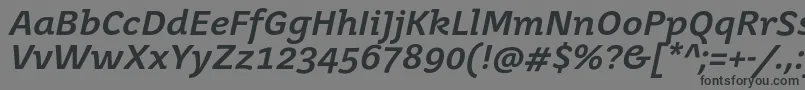 JuvenisbookBolditalic Font – Black Fonts on Gray Background