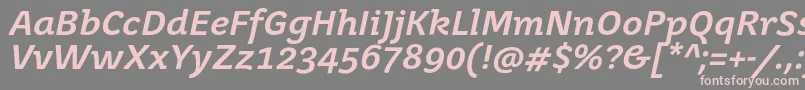 JuvenisbookBolditalic Font – Pink Fonts on Gray Background