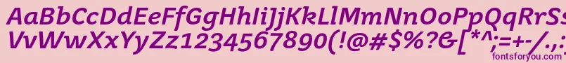 JuvenisbookBolditalic Font – Purple Fonts on Pink Background