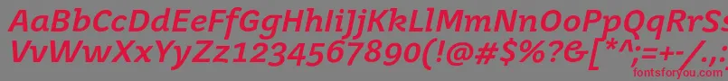 JuvenisbookBolditalic Font – Red Fonts on Gray Background