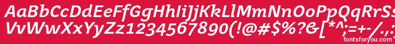 JuvenisbookBolditalic Font – White Fonts on Red Background