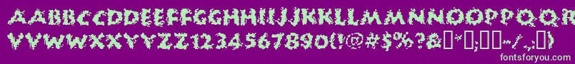 Huckb Font – Green Fonts on Purple Background