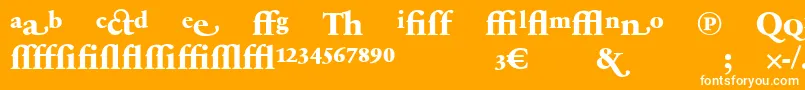 フォントSabonnextLtExtraBoldAlternate – オレンジの背景に白い文字