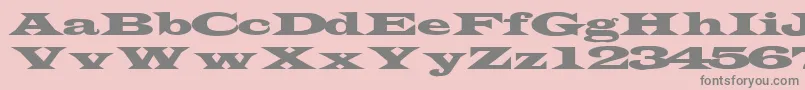 TransverseexpandedsskRegular Font – Gray Fonts on Pink Background